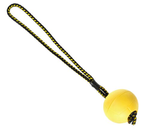 Gumijasta žoga z magnetom