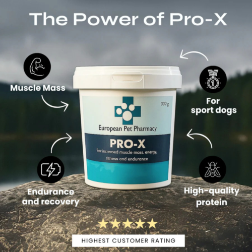 Prehranski dodatek PRO-X za povečanje mišične mase in več energije 6 Prehranski dodatek PRO-X za povečanje mišične mase in več energije - slika 2