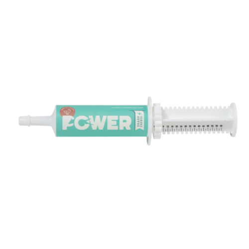 power energijska pasta