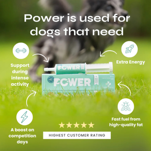 POWER energijska pasta za vrhunsko zmogljivost ali hitrejšo regeneracijo 5 POWER energijska pasta za vrhunsko zmogljivost ali hitrejšo regeneracijo 1