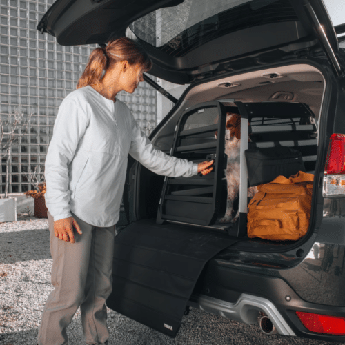 Transportni boks Thule ALLAX - slika 6